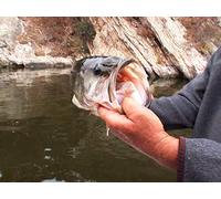 Fishing Tournament for St. Jude's Children's Hospital