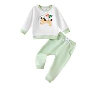 FishingDino Toddler Baby Boy Clothes Set 1-4T, Long Sleeve Spring Sweatershirt & Elastic Waist Pant Set, Dinosaur Trucks Letters Spring Summer Clothing Outfits, Green Puppy 2-3T