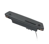 Fishman Rare Earth Single Coil Acoustic Guitar Soundhole Pickup, PROREP11, Black