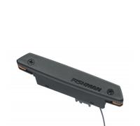 Fishman Rare Earth Single Coil Soundhole Acoustic Pickup