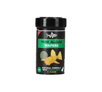 FishScience Mini Algae Wafers 45g | Fish Food for Ancistrus and Smaller Algae Eating Aquarium Fish | Tropical Fish Food | Bristlenose Catfish | Plecostomus | Otocinclus