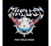 Fist Held High