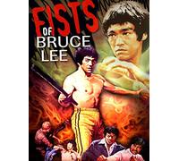 Fists of Bruce Lee