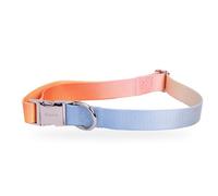 Fisura - Adjustable Pet Dog Collar with Gradient Print - Small Dog Nylon Collar with Zinc Quick Release Buckle - 0.6" Wide - Pet Original Gift