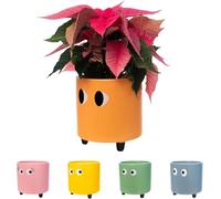 Fisura - Original Flower pots "Eyes Design", Ceramic Plant pots Indoor, Decorative Indoor planters with Legs for Cactus, Planters for Flowers and Succulents, Dimensions: 13cm x 12,5cm (Orange)