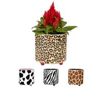 Fisura - Original Plant Pot Leopard Design - Decorative Indoor Ceramic Planter with Legs for Cactus & Succulents, Animal Print Flower Pot, Gift Idea, 13 x 12.5 cm