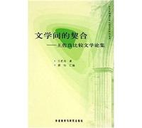 fit between literature: WANG Zuo Essays in Comparative Literature (Paperback)