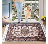 Fit Even Mughal Doormat - Large Non-Slip Washable Doormat, Heavy Duty Welcome Dirt Trapper, Water Absorbent Floormat for Indoor/Ourdoor use, Front Entrance and kitchen (Blue, 60x110 cm)