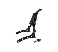 Fit For Indian Scout 2015-2024 Scout Sixty 16-24 ABS 19-20 Motorcycle Backrest With Luggage Rack Sissy Bar Air Filter Stack Air Filter Set(Sissy Bar Only)