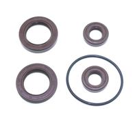 Fit For Yamaha 2-Stroke 15/18 HP Outboard Engine Crankshaft Lower Oil Seal + Housing 63V-15396-01-94-A67F