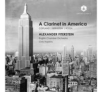 Fiterstein/Eco - A Clarinet in America
