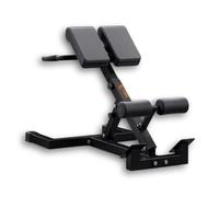 Fiti FFitness Multi-Function Roman Chair Bench Hyperextensions Crunch Triceps Dips Tilt Height Adjustable Resealable