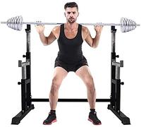 Fitness aid Dumbbell Bench Max Load Barbell Rack Dip Stand, Adjustable Squat Stand Rack Sturdy Steel Squat Barbell Free Bench Press Stands Gym/Home Gym Portable Dumbbell Racks Stands
