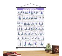 Fitness Exercise Poster with Chair - Folding Exercise Plan, 40 x 60 cm, Wall Board with Multiple Positions, Stretching Pilates Poster for Elderly Over 60 Living Room in the Office | Flexisi