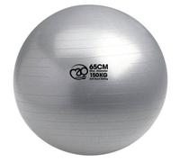 Fitness Mad 125kg Swiss Ball & Pump - 65cm Silver