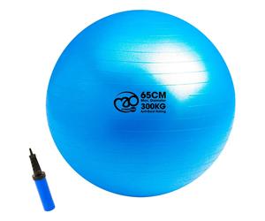 Fitness Mad 300kg Anti-burst Swiss Fitball