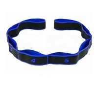 Fitness Resistance Band for Stretching and Yoga, Numbered 8-Section Resistance Band, Multi-Loop Elastic Stretching Strap for Yoga Pilates Fitness Full Body Workout (blue)