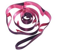 Fitness Stretching Strap - Multi-Loop Strap (12) - For Yoga - For Stretching After Workouts - This Stretching Strap is The Perfect Leg Stretcher and Hamstring Stretcher - 1.5 in W x 8 feet L