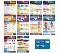 Fitness & Training Gym Poster Essentials - Set of 10 - LARGE A2 (594mm x 420mm) - Laminated - Gym Workout Charts - Includes Video Training Support by Posterfit