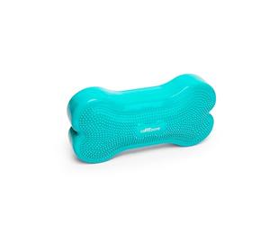 FitPaws k9fitbone dog training accessories, assorted colors