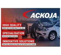 ACKOJA A70-9677 Wiper Arm, windscreen washer