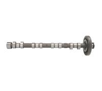 ✅Fits AE CAM974 Camshaft CAM974 Camshaft (exhaust side) (exhaust sid ⭐UK Seller⭐