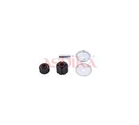 ASHIKA SMA0072 Top strut mount