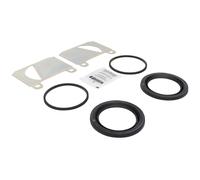 Brake Caliper Gasket Set ATE Fits 0004202444
