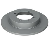 Brake discs MITSUBISHI CARISMA 1.6 24.0110-0229.1 (1 piece)