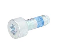 ATE Brake Disc Bolt 5254657 24.8190-9434.1 Female Torx – Fits FORD Transit