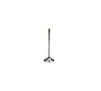 2x ✅Fits ATHENA VE-210202S Exhaust valve VE-210202S Exhaust valve fi ⭐UK Seller⭐