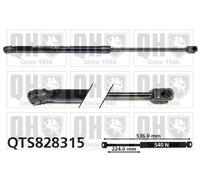 Fits Audi A1 Boot Cargo Trunk Gas Spring Replacement QUINTON HAZELL QTS828315