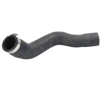 Fits AUGER AUG82387 Radiator Hose AUG82387 Cooling system rubber hose (bottom,,