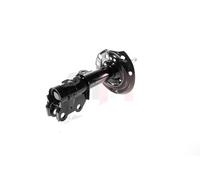 1x Gas Shock Absorber Front Right GH-354576H