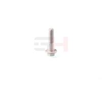 2x ✅Fits AUTO-GH GH-391596 Knuckle Bolt M12X1.5X50 -10.9 BMW X5, X6 ⭐UK Seller⭐