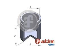 AUTOFREN SEINSA D025213 Brake caliper piston
