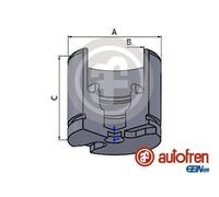 AUTOFREN SEINSA D025256 Brake caliper piston