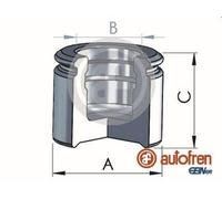 AUTOFREN SEINSA D025310 Brake caliper piston