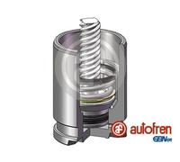 AUTOFREN SEINSA D025530K Brake caliper piston