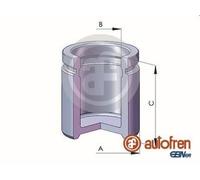 AUTOFREN SEINSA D025554 Brake caliper piston