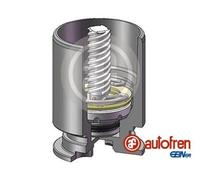 Fits AUTOFREN SEINSA D025777RK piston with mechanism