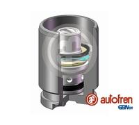 Brake caliper piston Rear Axle D02594K AUTOFREN SEINSA for NISSAN HYUNDAI SMART