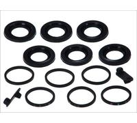 Fits AUTOFREN SEINSA D4-1724 Disc brake caliper repair kit D4-1724 Brake calipe