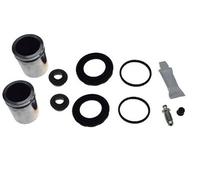 AUTOFREN SEINSA D43059C Repair Kit, brake caliper