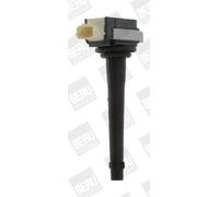 BorgWarner (BERU) Ignition Coil ZSE161 for Renault Megane CC, Scenic III, Laguna III, Fluence