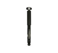 Shock absorber BILSTEIN 19-249346 for TRANSIT V363 Van (FCD, FDD) 2.2 2013-2018