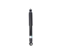BILSTEIN 19-325217 Shock absorber