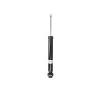 BILSTEIN 19-344423 Shock absorber