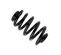 Suspension spring Rear Axle Coil spring with constant wire diameter 36-253661