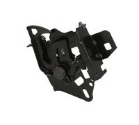 Fits BLIC 3011-01-020210P Bonnet lock DE stock